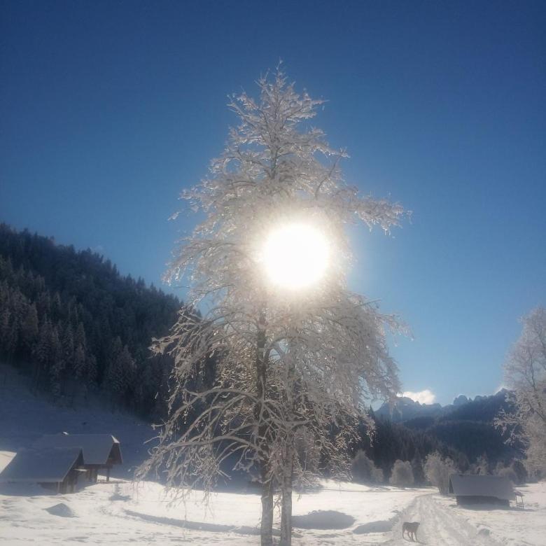 Huatscher Camporosso  Buitenkant foto