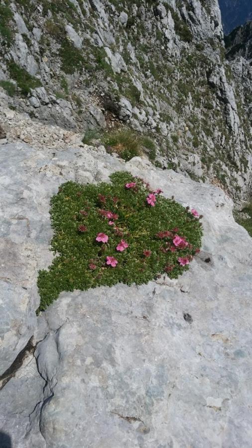 Huatscher Camporosso  Buitenkant foto